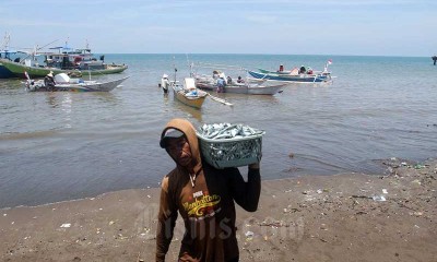 KPP Susun Daftar Penyakit Ikan Berbahaya Untuk Jaga Kualitas Ekspor Indonesia