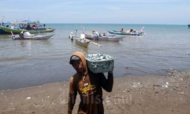 KPP Susun Daftar Penyakit Ikan Berbahaya Untuk Jaga Kualitas Ekspor Indonesia