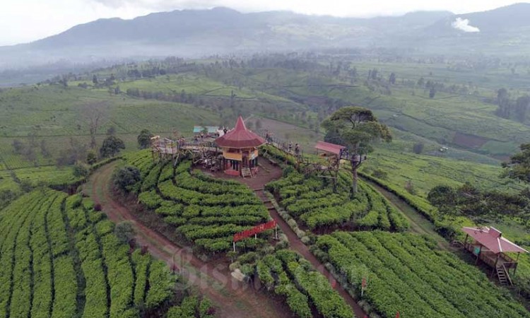 Kawasan Wisata bukit Gunung Nini Menjadi Daya Tarik Wisatawan di Jawa Barat