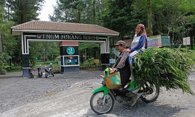 Semua Destinasi Wisata dan Jalur Pendakian Gunung Merapi Ditutup