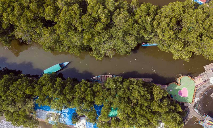 Hutan Mangrove Sungai Jingkem di Bekasi Menjadi Destinasi Wisata Baru