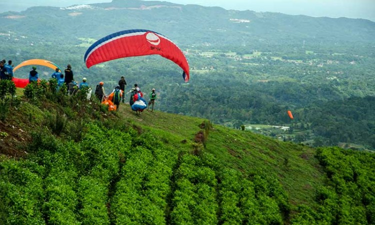 Pemerintah Jawa Barat bersama PTPN VIII Kembangkan Kawasan Ciater Agrotourism Menjadi Tempat Pariwisata