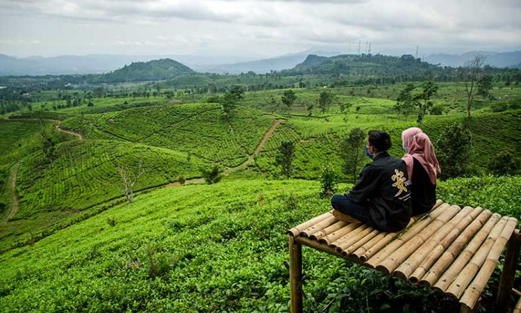 Pemerintah Jawa Barat bersama PTPN VIII Kembangkan Kawasan Ciater Agrotourism Menjadi Tempat Pariwisata