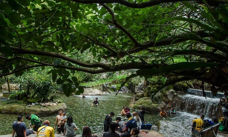 Pemerintah Jawa Barat bersama PTPN VIII Kembangkan Kawasan Ciater Agrotourism Menjadi Tempat Pariwisata