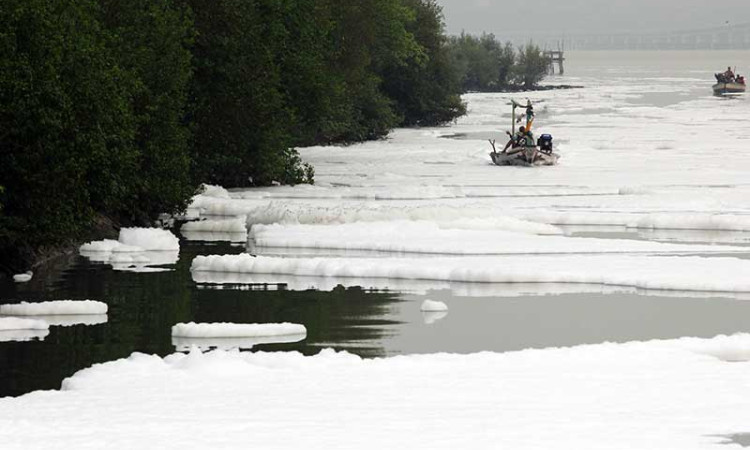 Sungai di Surabaya Diselimuti Busa Putih Yang Diduga Limbah