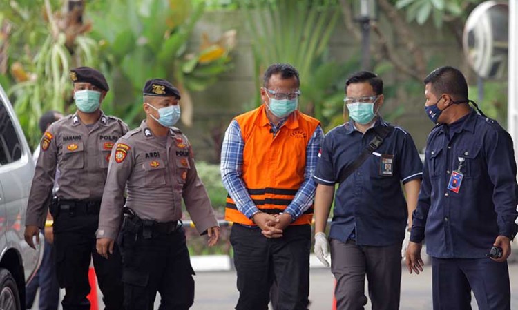 Kenakan Rompi Tahanan, Menteri Kelautan dan Perikanan Edhy Prabowo Jalani Pemeriksaan di KPK