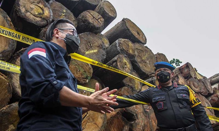 Operasi Gabungan di Riau Berhasil Mengamankan Kayu Ilegal