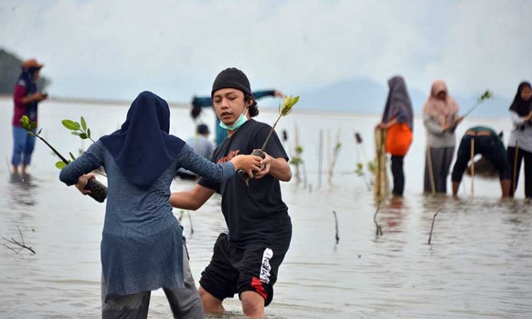 Aksi Tanam Bebit Mangrove di Kawasan Pesisir Desa Lam Badeuk Aceh