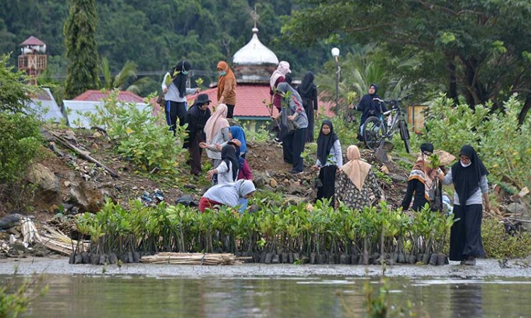 Aksi Tanam Bebit Mangrove di Kawasan Pesisir Desa Lam Badeuk Aceh