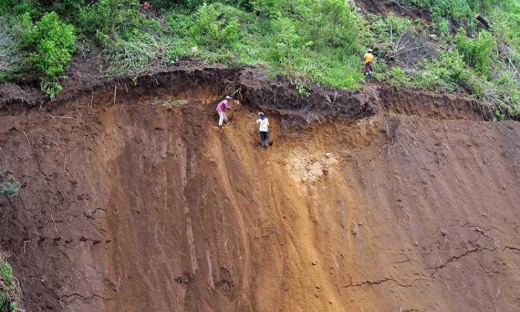 Lahan Pertanian di Kaki Gunung Merbabu Rawan Longsor