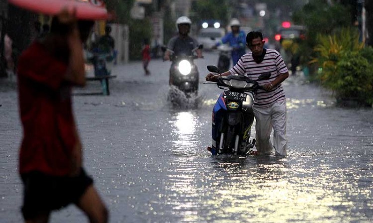 Diguyur Hujan Deras, Surabaya Terendam Banjir dan Sejumlah Pohon Tumbang