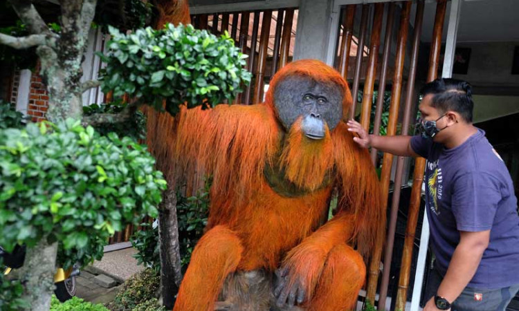 Pembuatan Patung Orangutan di Medan Untuk Edukasi Warga Agar Melindungi dan Melestarikan Orangutan