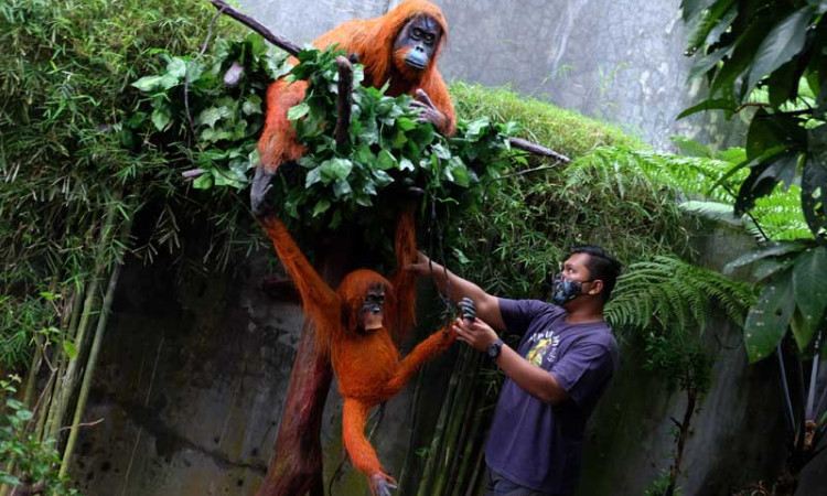 Pembuatan Patung Orangutan di Medan Untuk Edukasi Warga Agar Melindungi dan Melestarikan Orangutan