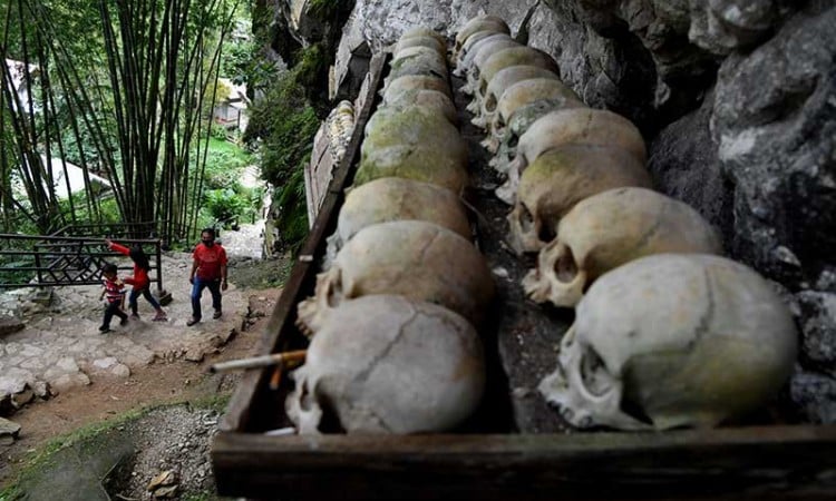 Ditetapkan Zona Hijau, Kawasan Wisata di Toraja Utara Mulai Ramai Dikunjungi Wisatawan