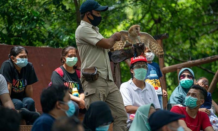 Fauna Land di Ancol Ramai Dikunjungi Wisawatan Saat Liburan Sekolah