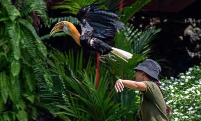 Fauna Land di Ancol Ramai Dikunjungi Wisawatan Saat Liburan Sekolah