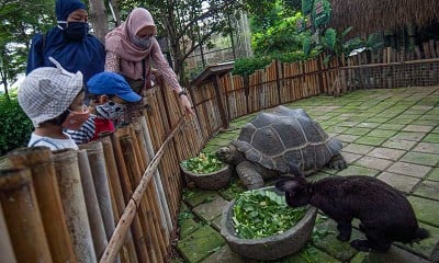 Fauna Land di Ancol Ramai Dikunjungi Wisawatan Saat Liburan Sekolah