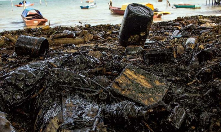 Limbah Minyak Hitam Cemari Pantai Utara Pulau Batam di Kepulauan Riau