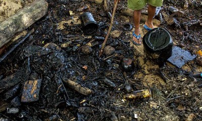 Limbah Minyak Hitam Cemari Pantai Utara Pulau Batam di Kepulauan Riau