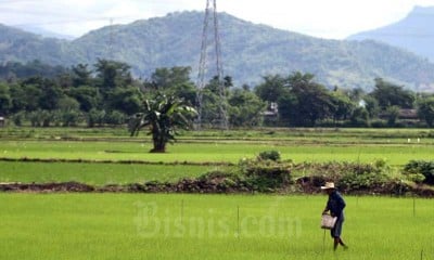 Kementan Terbitkan Aturan HET Pupuk Bersubsidi pada 2021