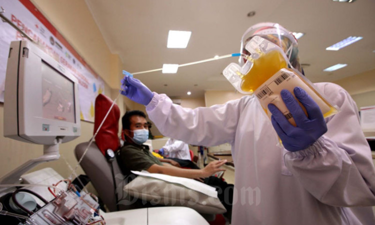 Jumlah Pendonor Plasma Konvalesen Masih Rendah