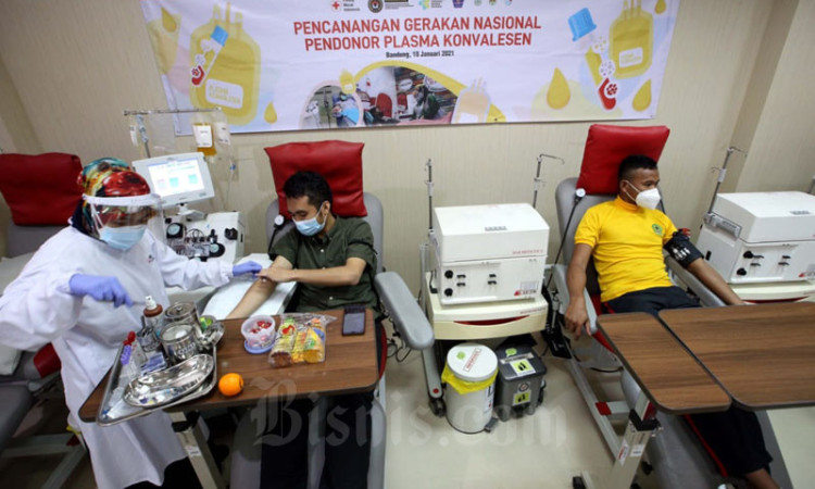 Jumlah Pendonor Plasma Konvalesen Masih Rendah