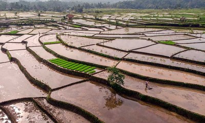 Kementan Meningkatkan Alokasi KUR Sektor Pertanian Senilai Rp70 Triliun Pada 2021