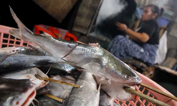 Harga Ikan Asap Naik Akibat Sedikitnya Tangkapan Nelayan Akibat Cuaca Buruk