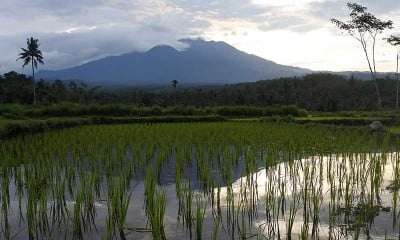 Aktivitas Vulkanik Gunung Raung Meningkat, BPBD Jember Himbau Warga Agar Tidak Panik