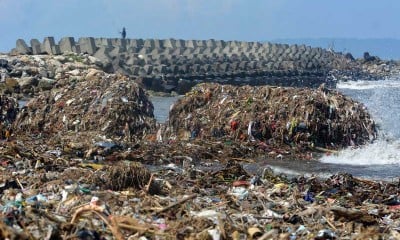 Pantai Pancer Puger di Jember Dipenuhi Sampah Kiriman Banjir Akibat Meluapnya DAS Bedadung