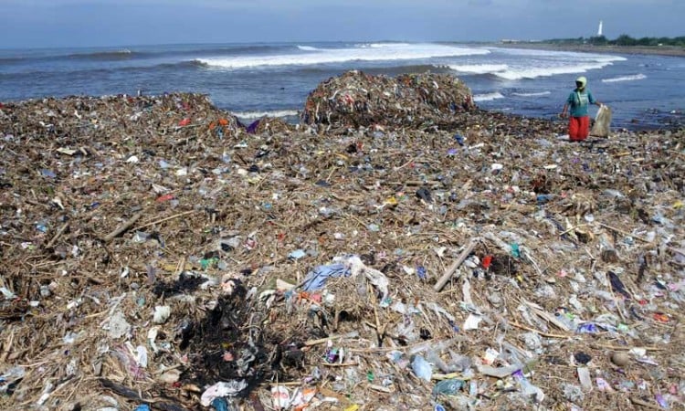 Pantai Pancer Puger di Jember Dipenuhi Sampah Kiriman Banjir Akibat Meluapnya DAS Bedadung