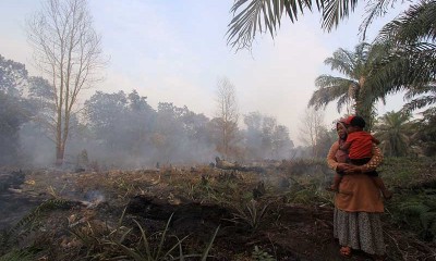 11 Hektare Lahan Gambut di Riau Terbakar Akibat Cuaca Panas