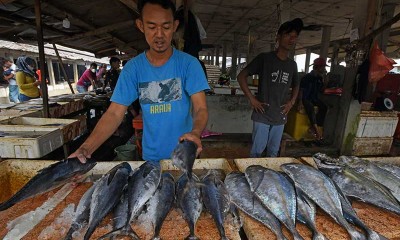 Konsumsi Ikan Nasional Naik 3,47 Persen Pada 2020