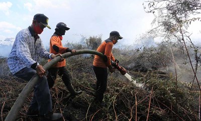 Kebakaran Lahan Gambut di Aceh Hanguskan 8 Hektar Lahan Milik Warga
