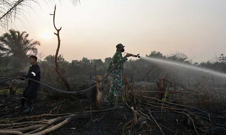Provinsi Riau Tetapkan Status Siaga Darurat Kebakaran Hutan dan Lahan 
