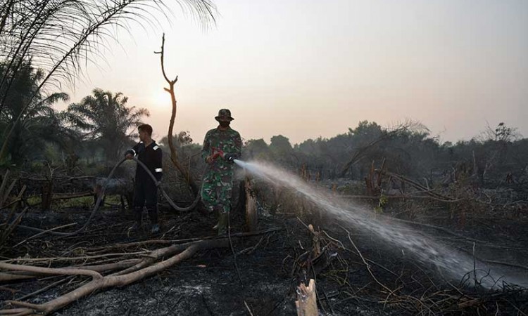 Provinsi Riau Tetapkan Status Siaga Darurat Kebakaran Hutan dan Lahan 