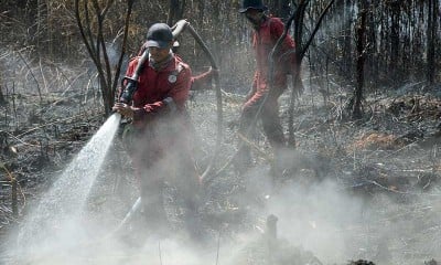 100 Hektare Lahan di Riau Terbakar Akibat Musim Kemarau
