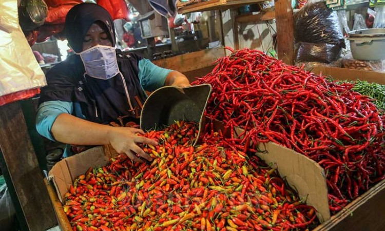 Harga Cabai Rawit Merah Tembus Rp120 Ribu Per Kilogram