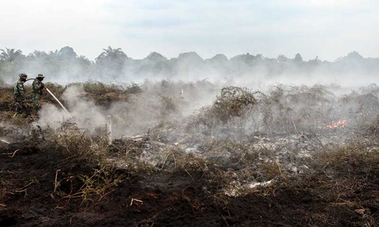 Bencana Kabut Asap di Riau Berpotensi Terulang Kembali