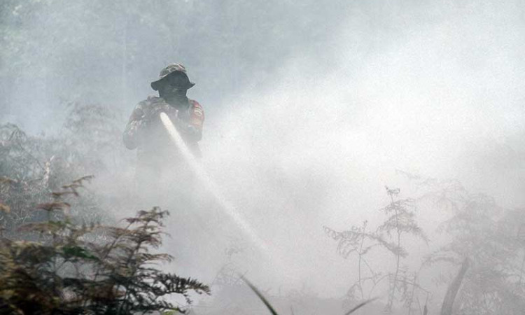 Bencana Kabut Asap di Riau Berpotensi Terulang Kembali