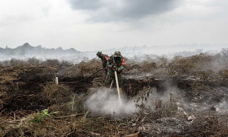 Bencana Kabut Asap di Riau Berpotensi Terulang Kembali