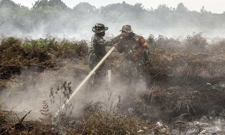 Bencana Kabut Asap di Riau Berpotensi Terulang Kembali