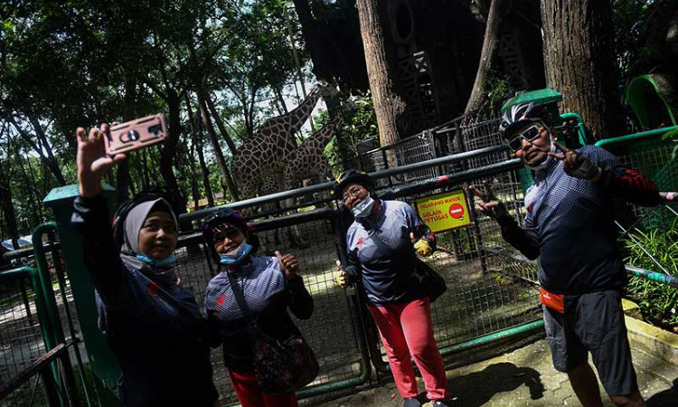 Taman Margasatwa Ragunan Kembali Dibuka Untuk Umum