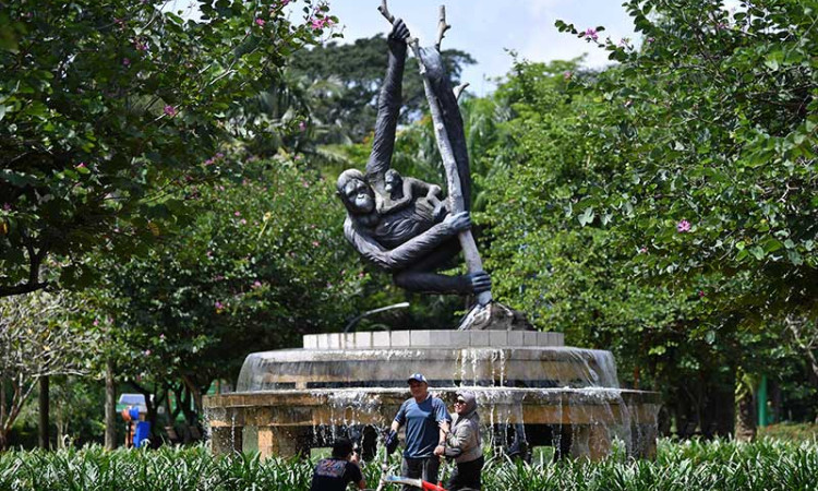 Taman Margasatwa Ragunan Kembali Dibuka Untuk Umum