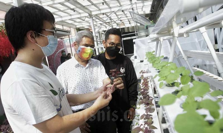 Mal Ciputra Hadirkan CL Urban Market