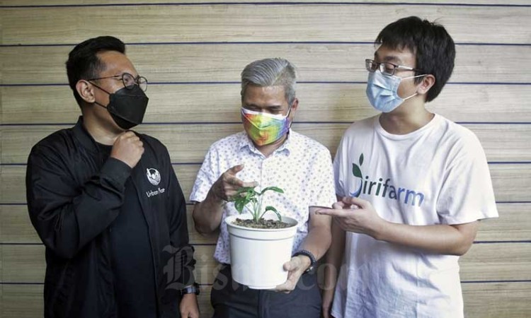 Mal Ciputra Hadirkan CL Urban Market