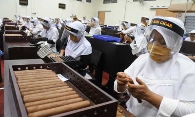 Cerutu Buatan BIN Cigar Jember Diekspor Ke Sejumlah Negara di Benua Asia, Amerika dan Eropa
