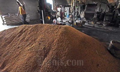 Lambanya Penyerapan Gabah Oleh BULOG, Harga Gabah Kering Merosot