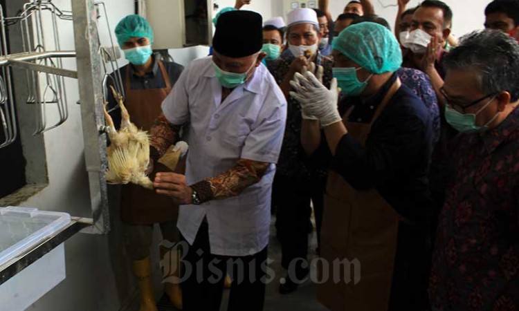 Peresmian Rumah Potong Unggas Berstandar SNI Pertama di Padang