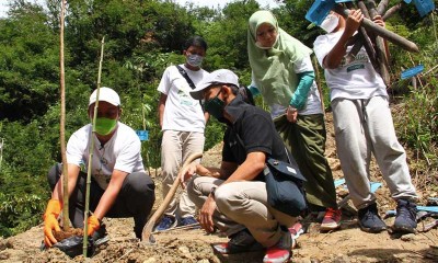 Nayz Selenggarakan Gerakan Tanam 1 Juta Pohon di Lahan Bekas Longsor